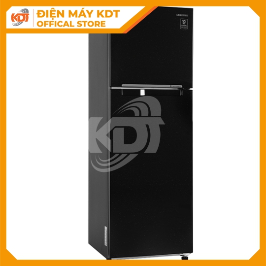 Tủ lạnh Samsung Inverter 256 lít RT25M4032BU/SV