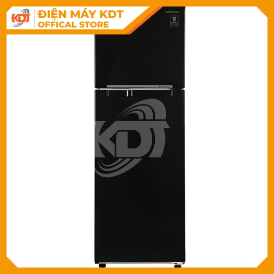 Tủ lạnh Samsung Inverter 256 lít RT25M4032BU/SV
