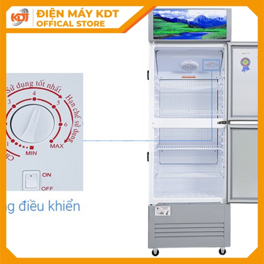 Tủ mát Sanaky 240 lít VH-308WL